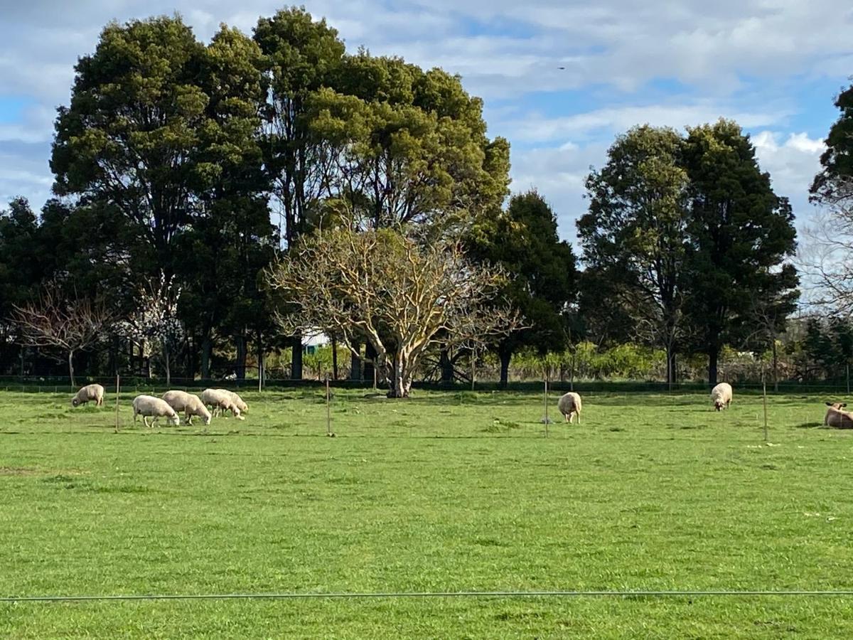 Country Retreats On Ranzau 1 Nelson Exterior foto